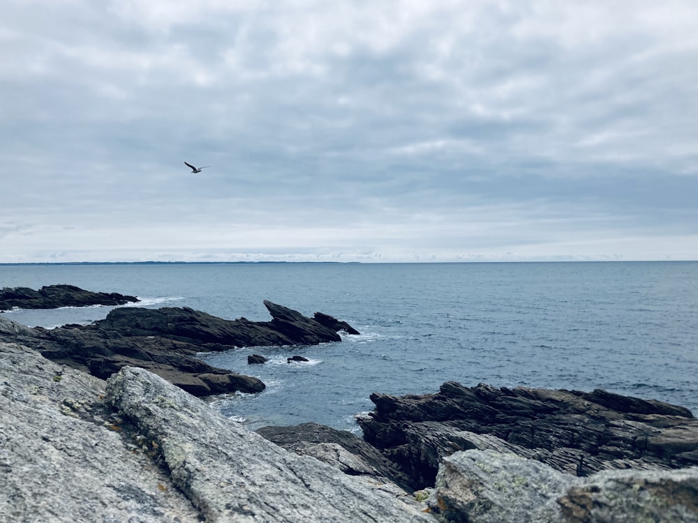 a bird flying over the ocean on a cloudy day