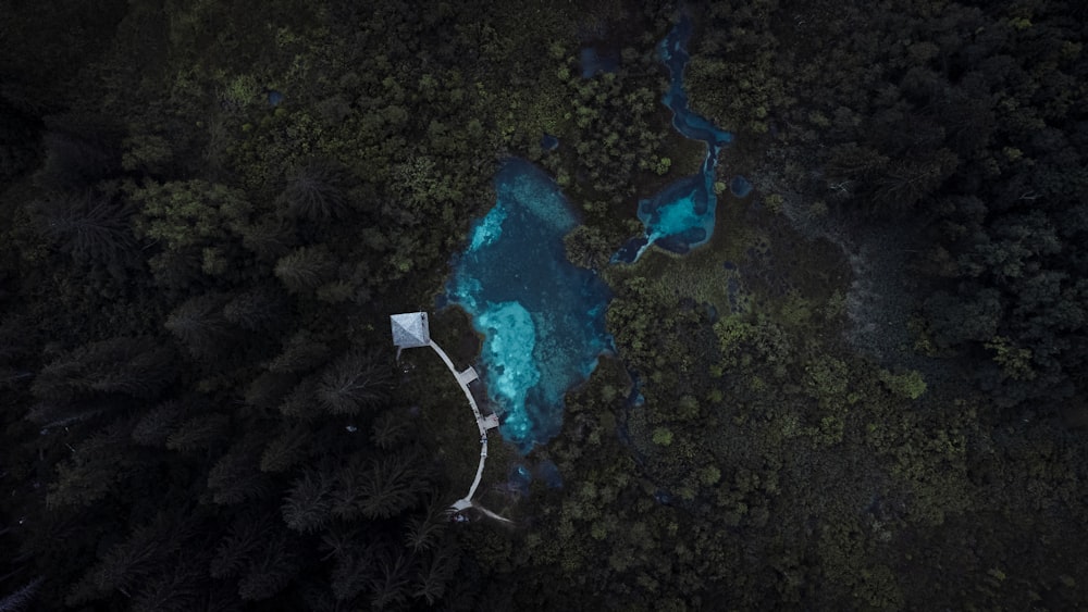 aerial view of green trees and white boat on water