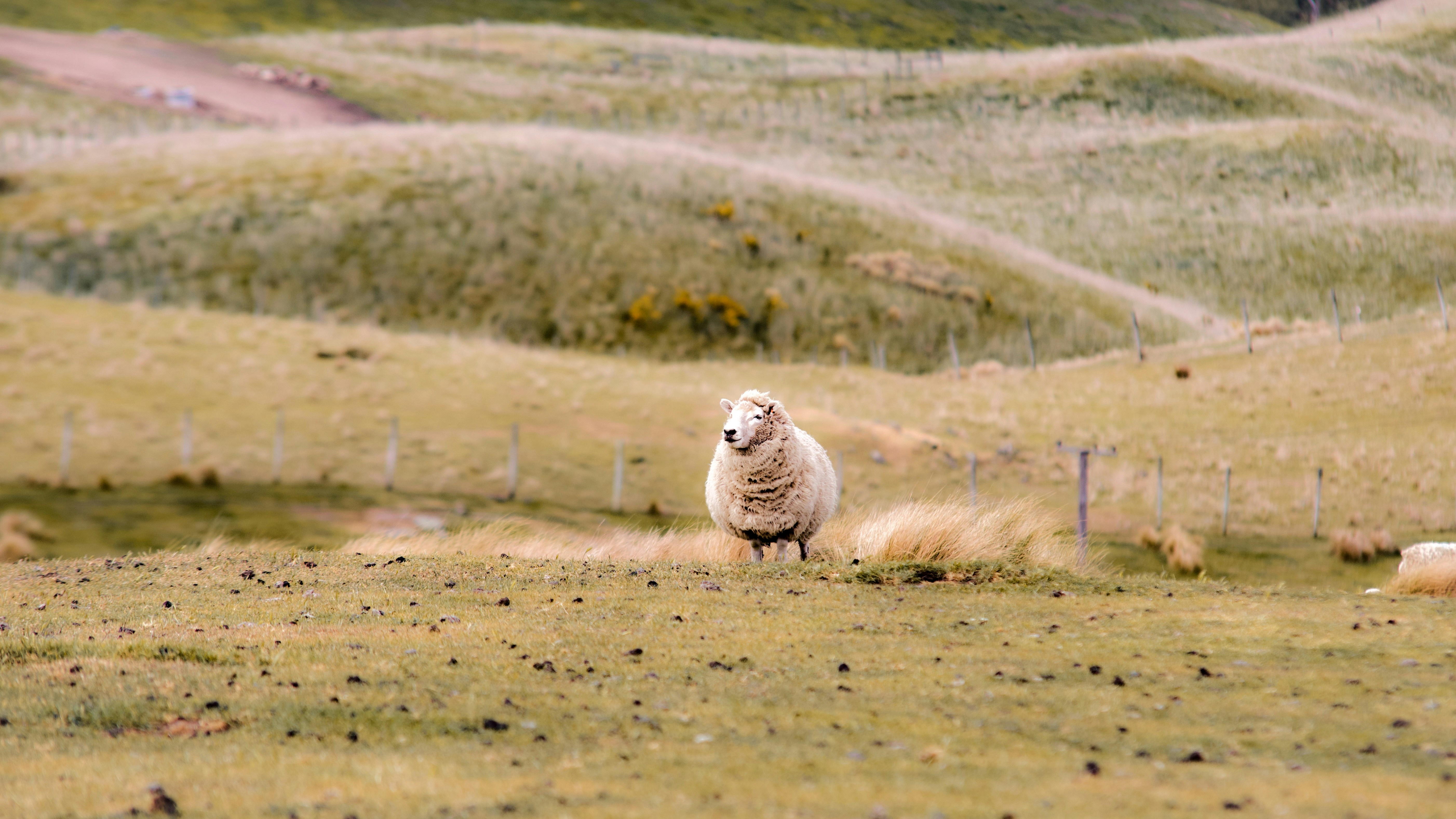 Photo by ravikothiya