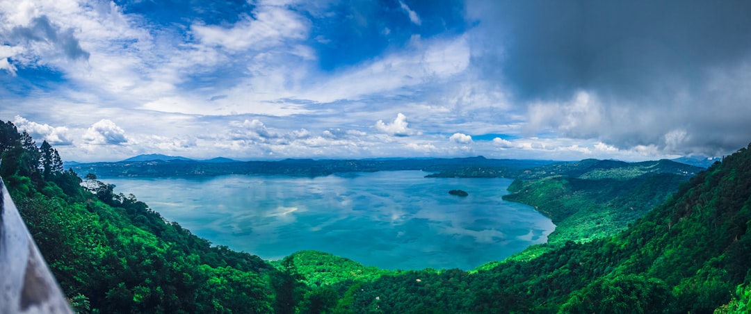 green trees near body of water under blue sky during daytime