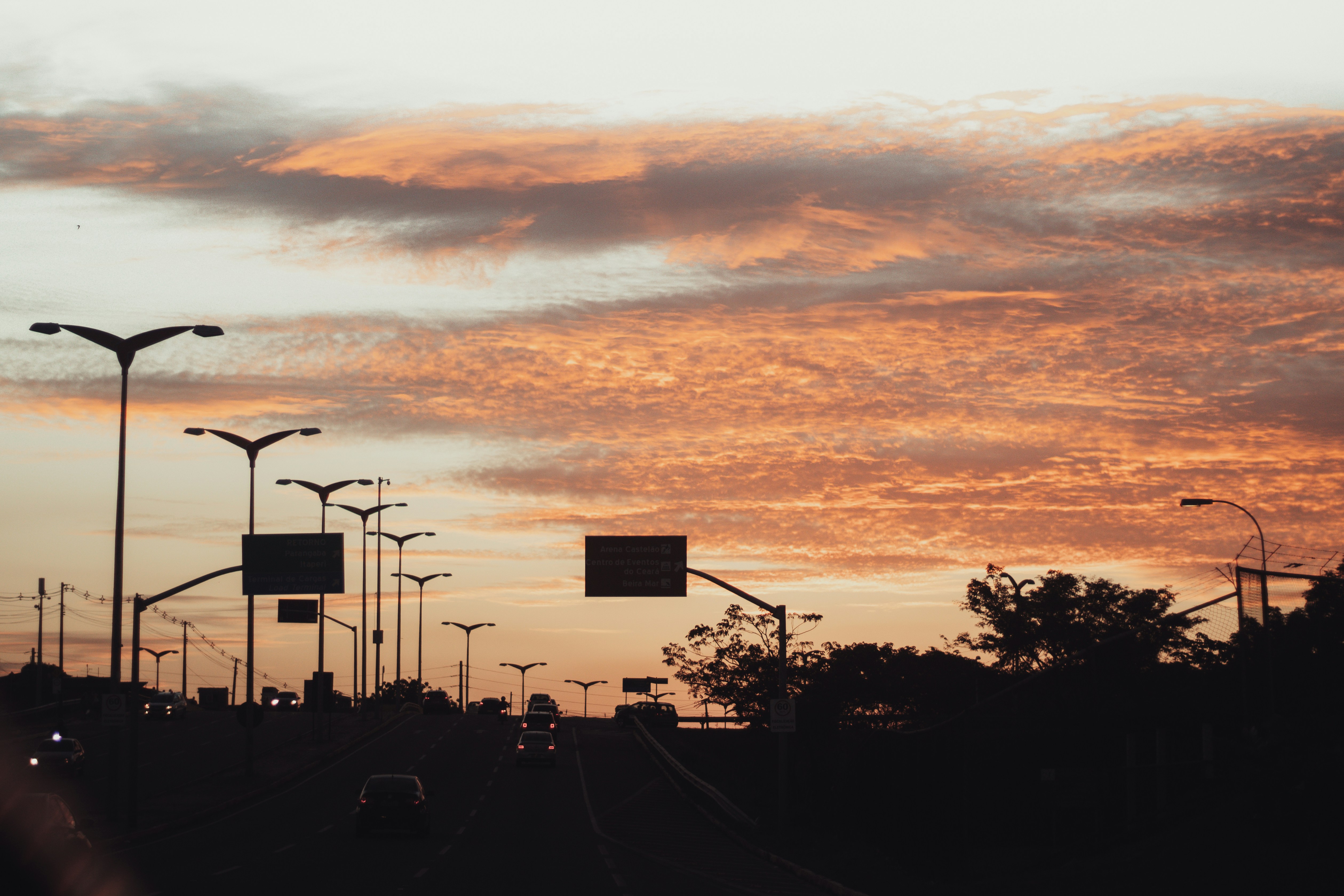 Photo by igorrodrigues