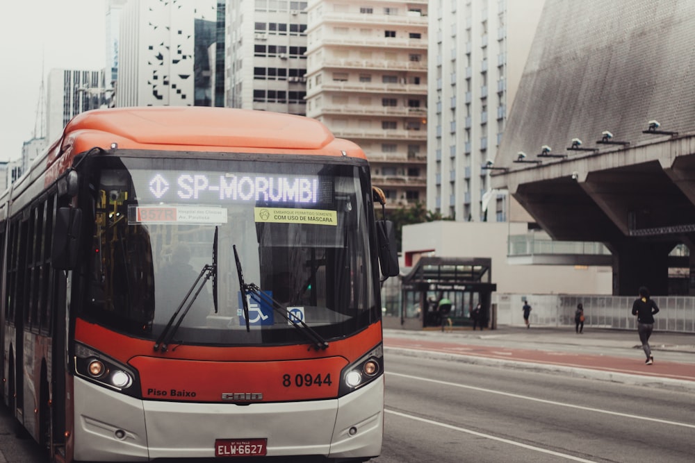 red and white bus on road during daytime