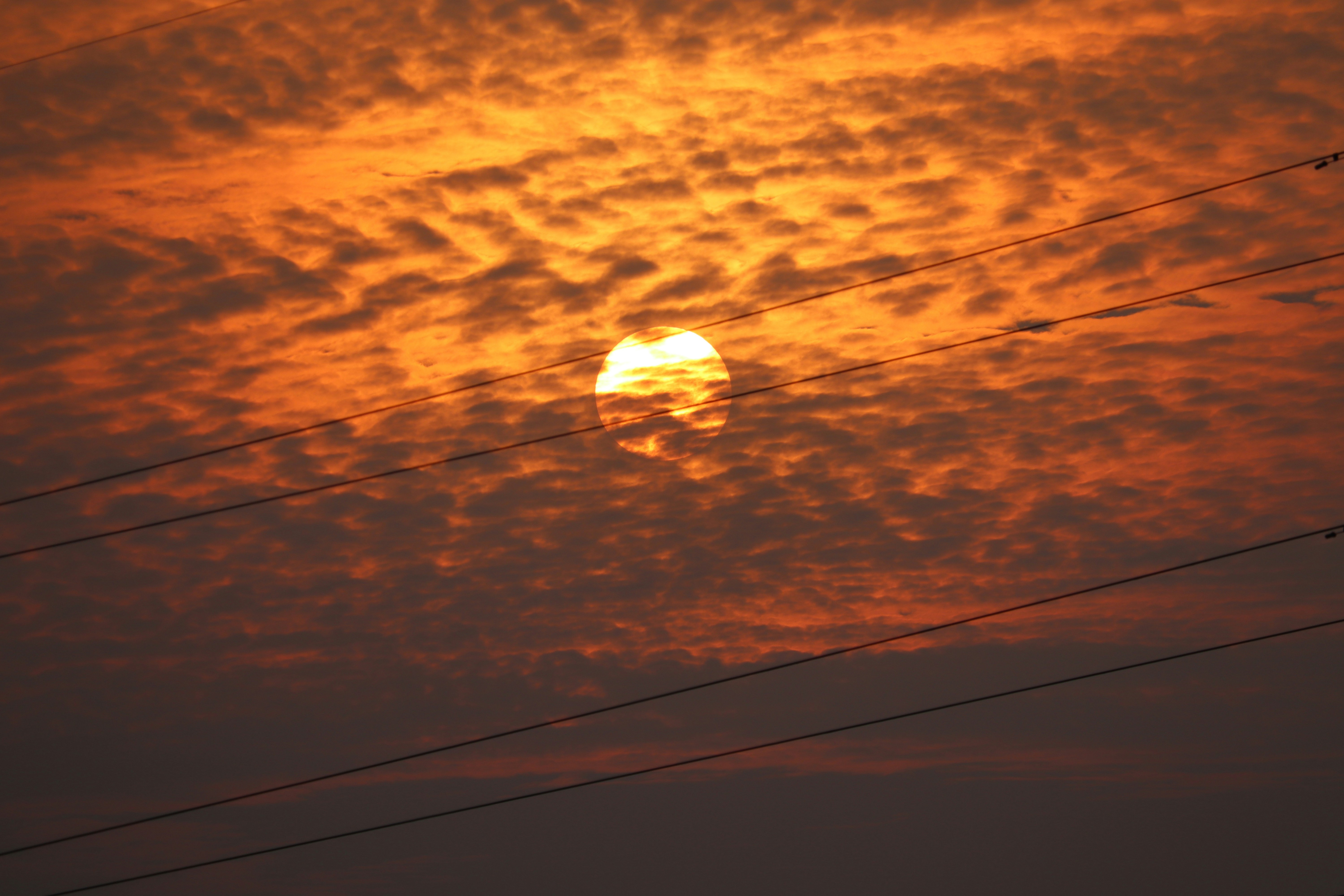 Photo by mariyan_rajesh