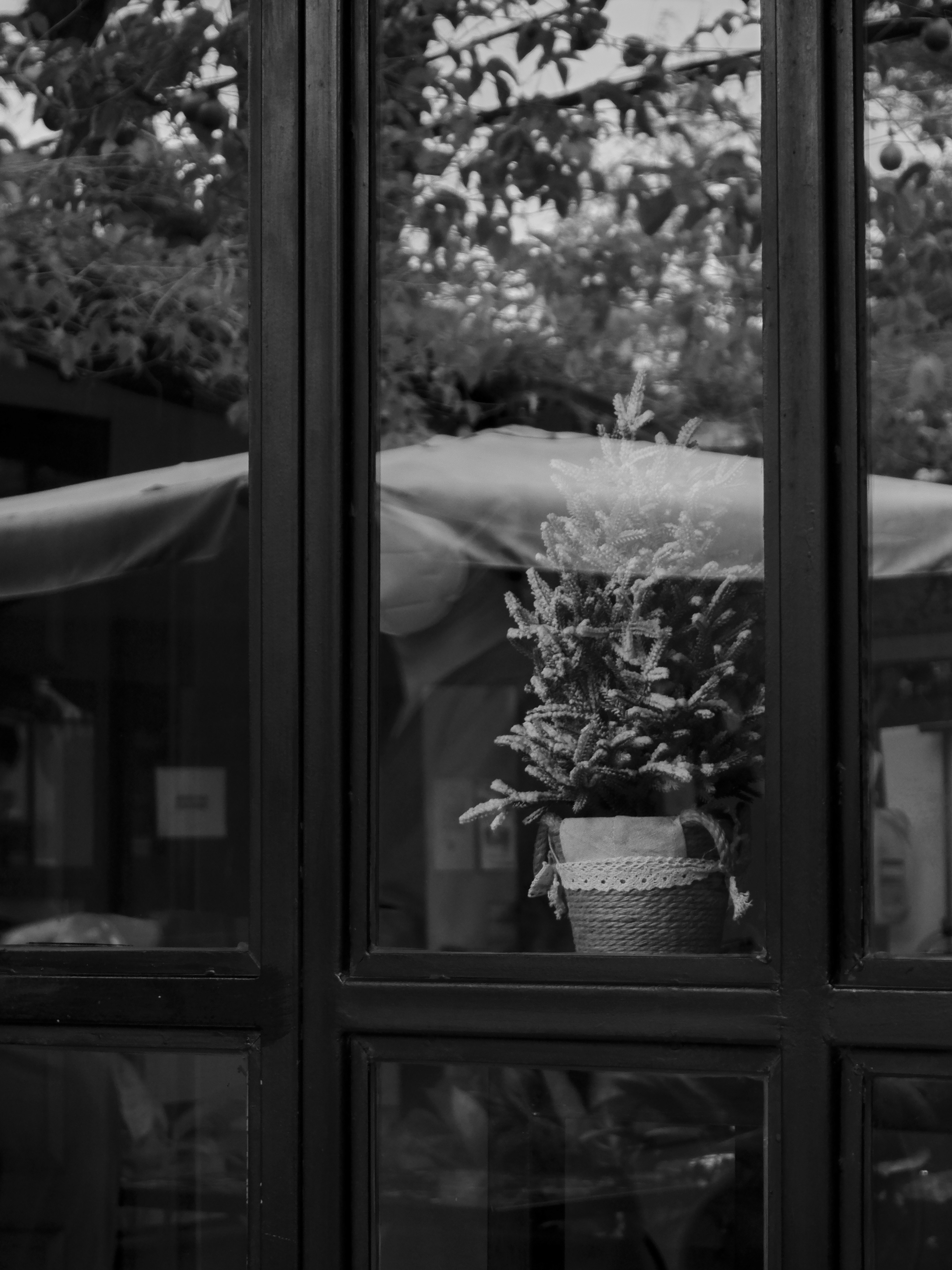 Photo by ryohariantoo