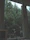 A man working at a desk near a modern sliding window with a view of green trees outside.