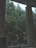 A man working at a desk near a modern sliding window with a view of green trees outside.