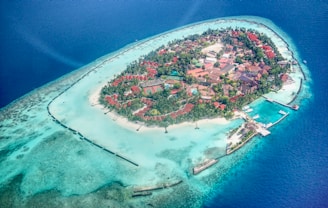aerial view of city near body of water during daytime
