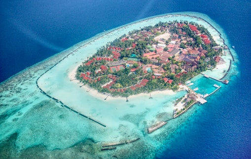 aerial view of city near body of water during daytime