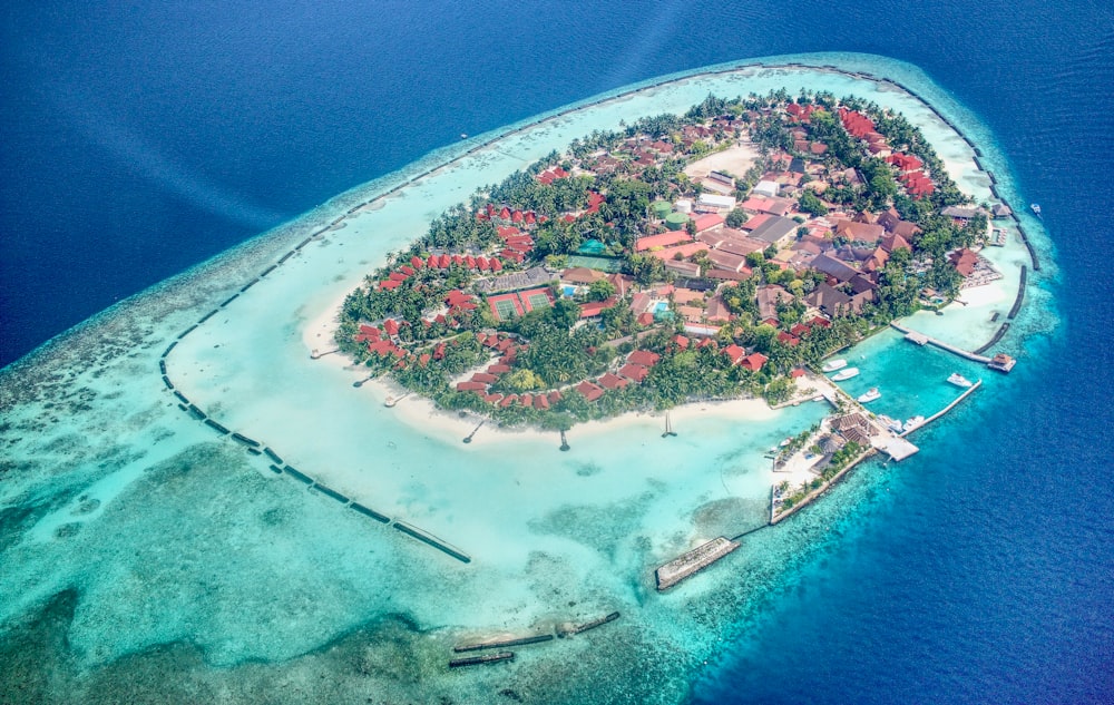 aerial view of city near body of water during daytime