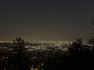 Silhouetted city skyline at night with twinkling lights against a deep black sky.