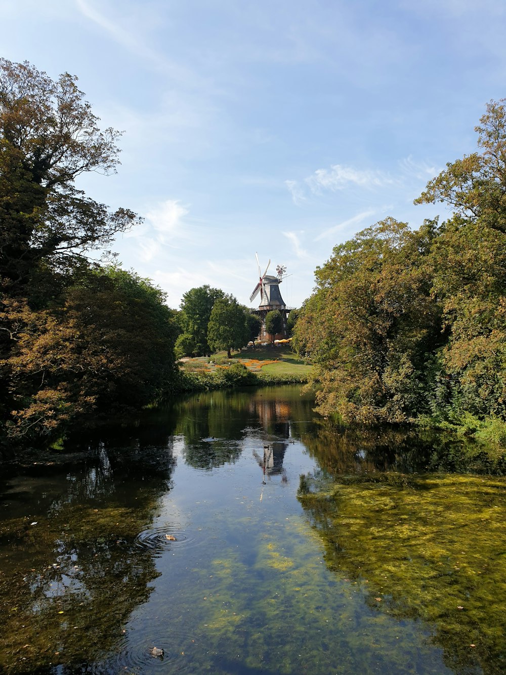 grüne Bäume am Fluss unter weißen Wolken und blauem Himmel tagsüber