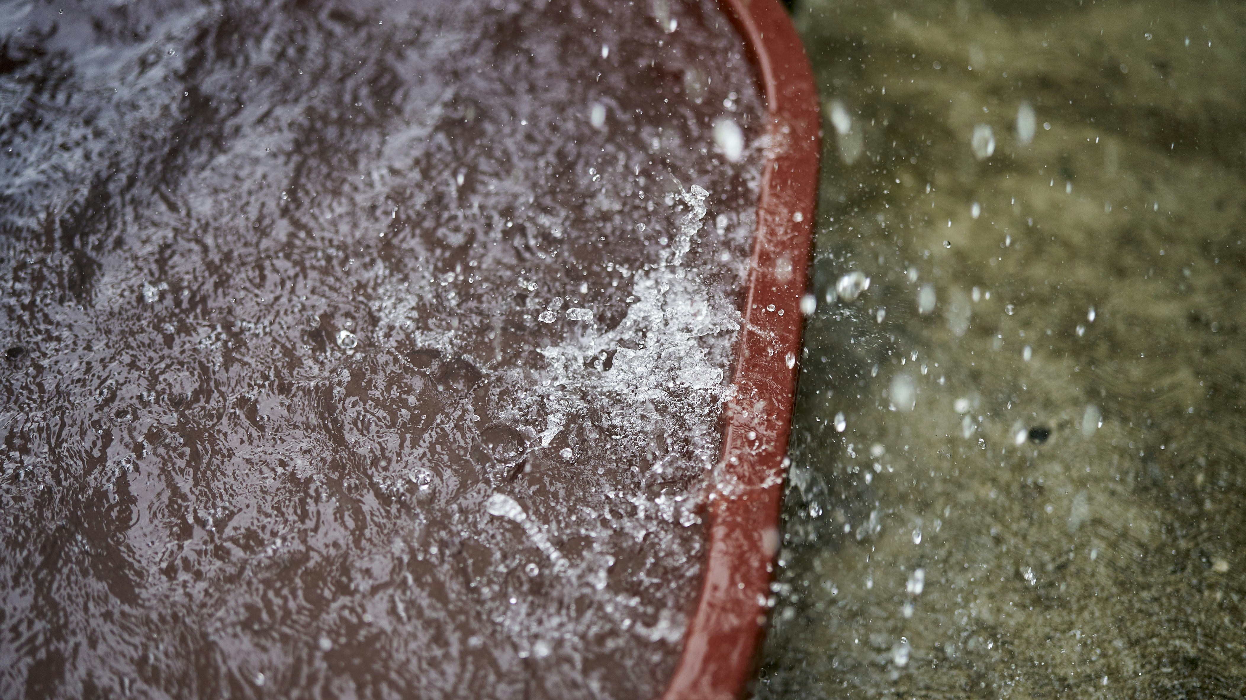 red plastic container on gray surface