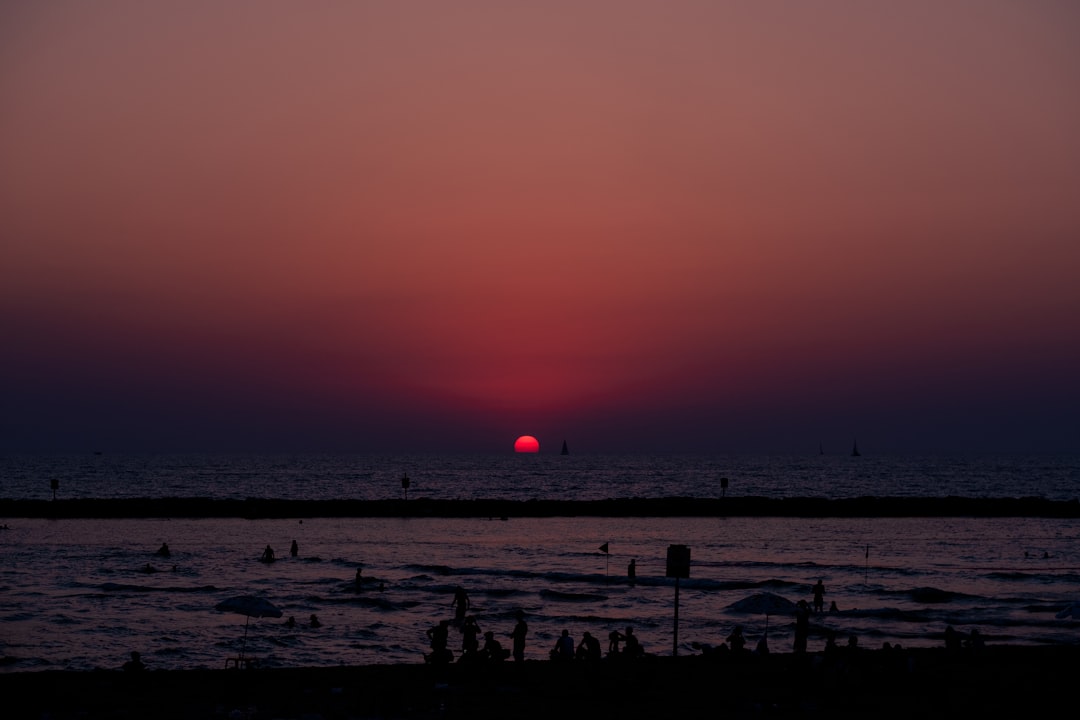 silhouette of people on beach during sunset