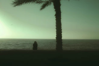 silhouette of man and woman sitting on the beach during sunset