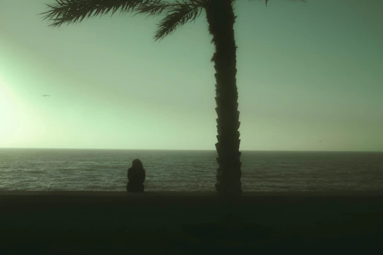 silhouette of man and woman sitting on the beach during sunset