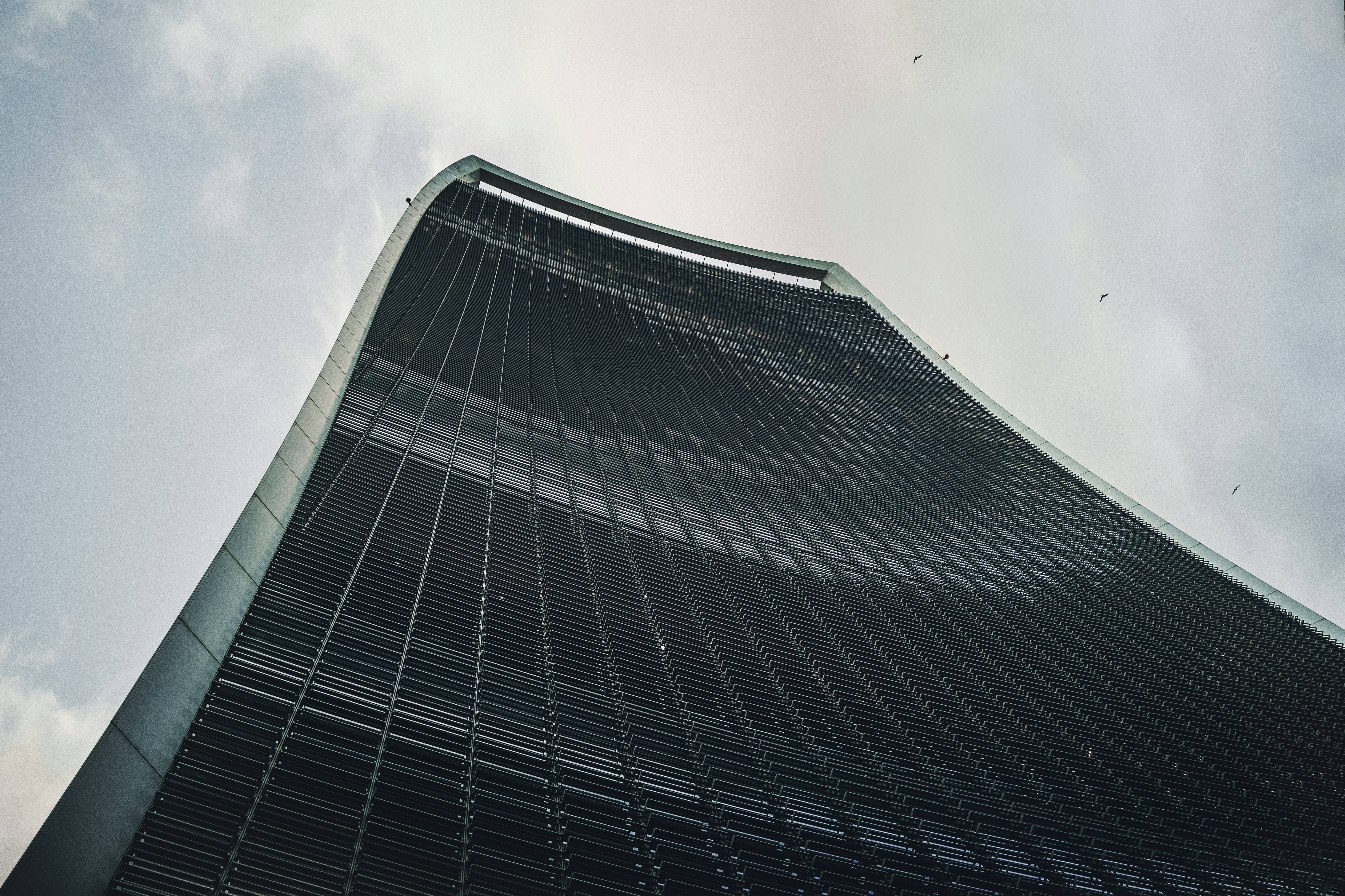 Photo by santesson89