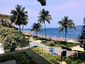 A scenic beachfront view with tall palm trees lining the shore. There are tables and chairs set up on the sand, suggesting a beachside restaurant or café. Bright green foliage surrounds the area, and the ocean stretches out into the horizon with gentle waves meeting the shore. Umbrellas offer shade to the patrons seated below.
