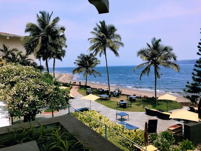 A scenic beachfront view with tall palm trees lining the shore. There are tables and chairs set up on the sand, suggesting a beachside restaurant or café. Bright green foliage surrounds the area, and the ocean stretches out into the horizon with gentle waves meeting the shore. Umbrellas offer shade to the patrons seated below.