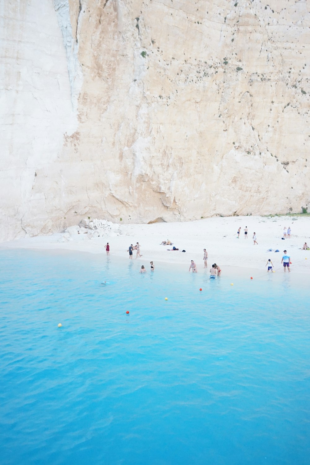 people on beach during daytime