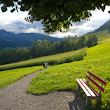 brown wooden bench on green grass field near green mountains during daytime