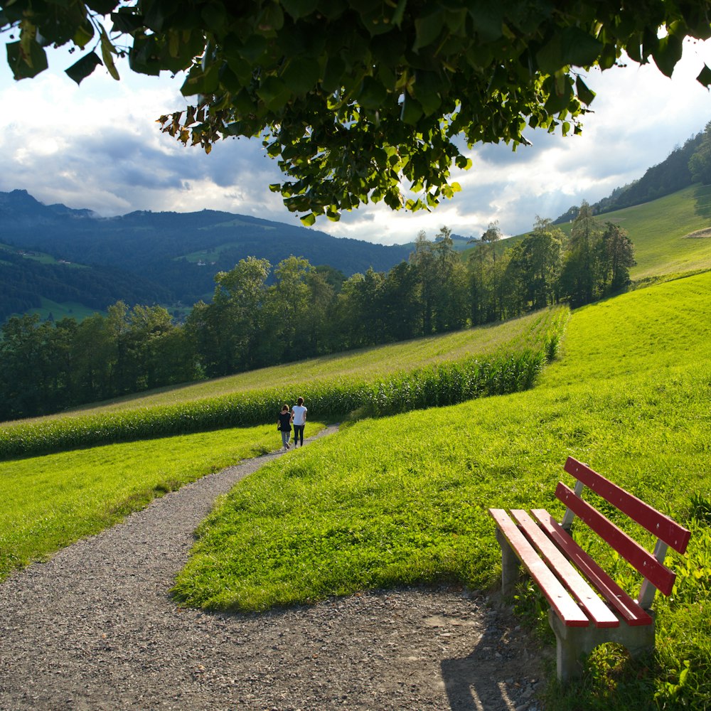 brown wooden bench on green grass field near green mountains during daytime