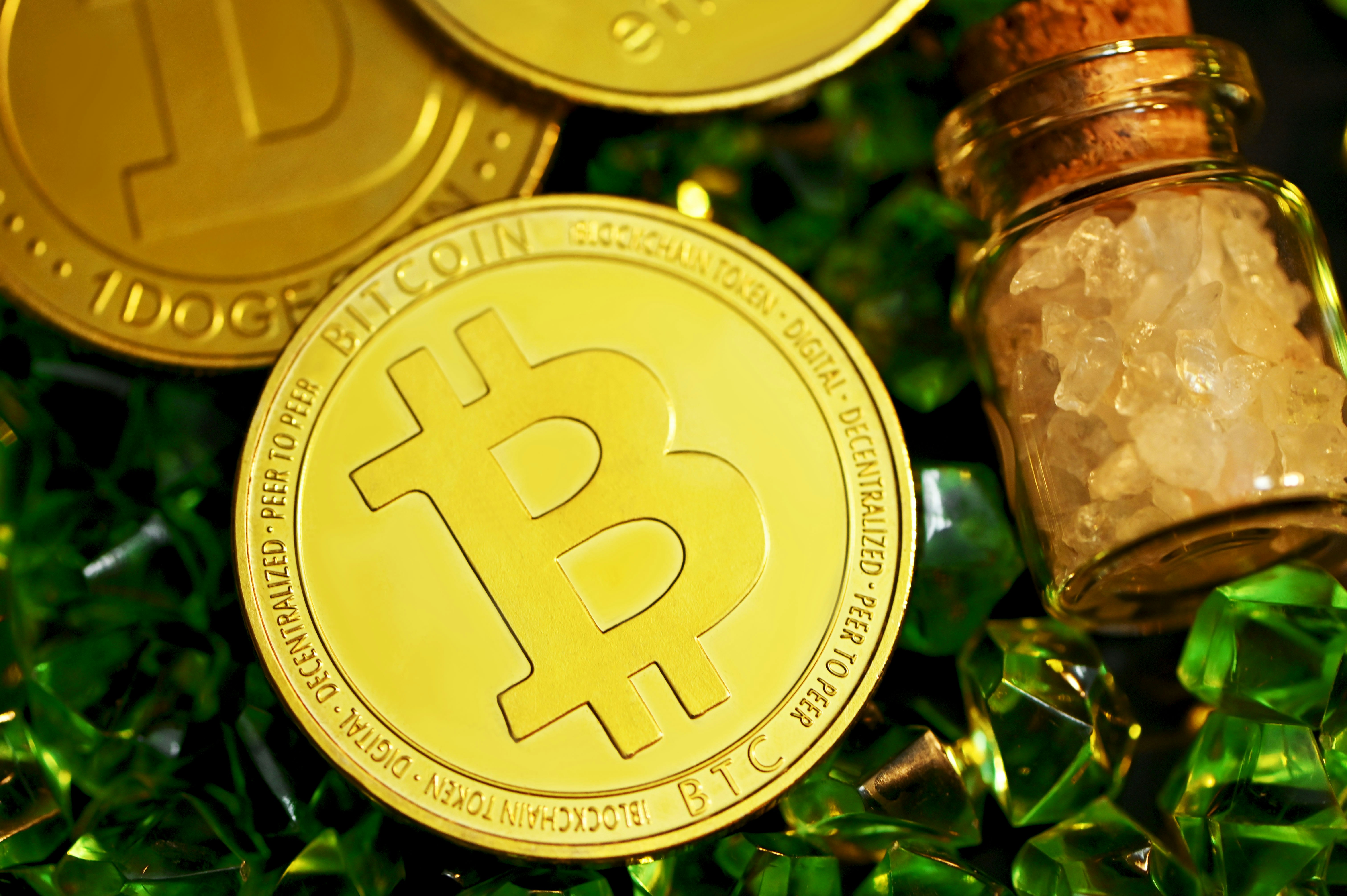 gold round coin on green plant