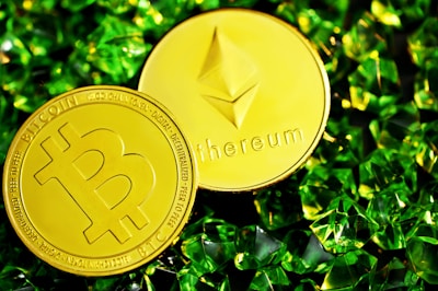 gold round coin on green plant