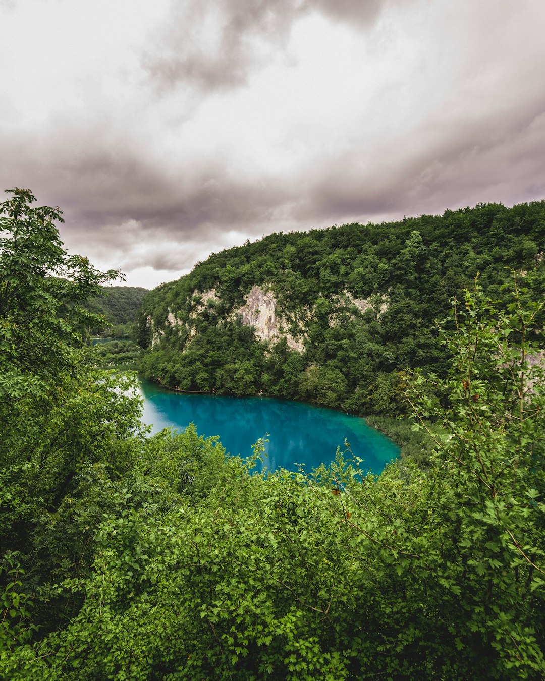 green trees near blue lake under white clouds