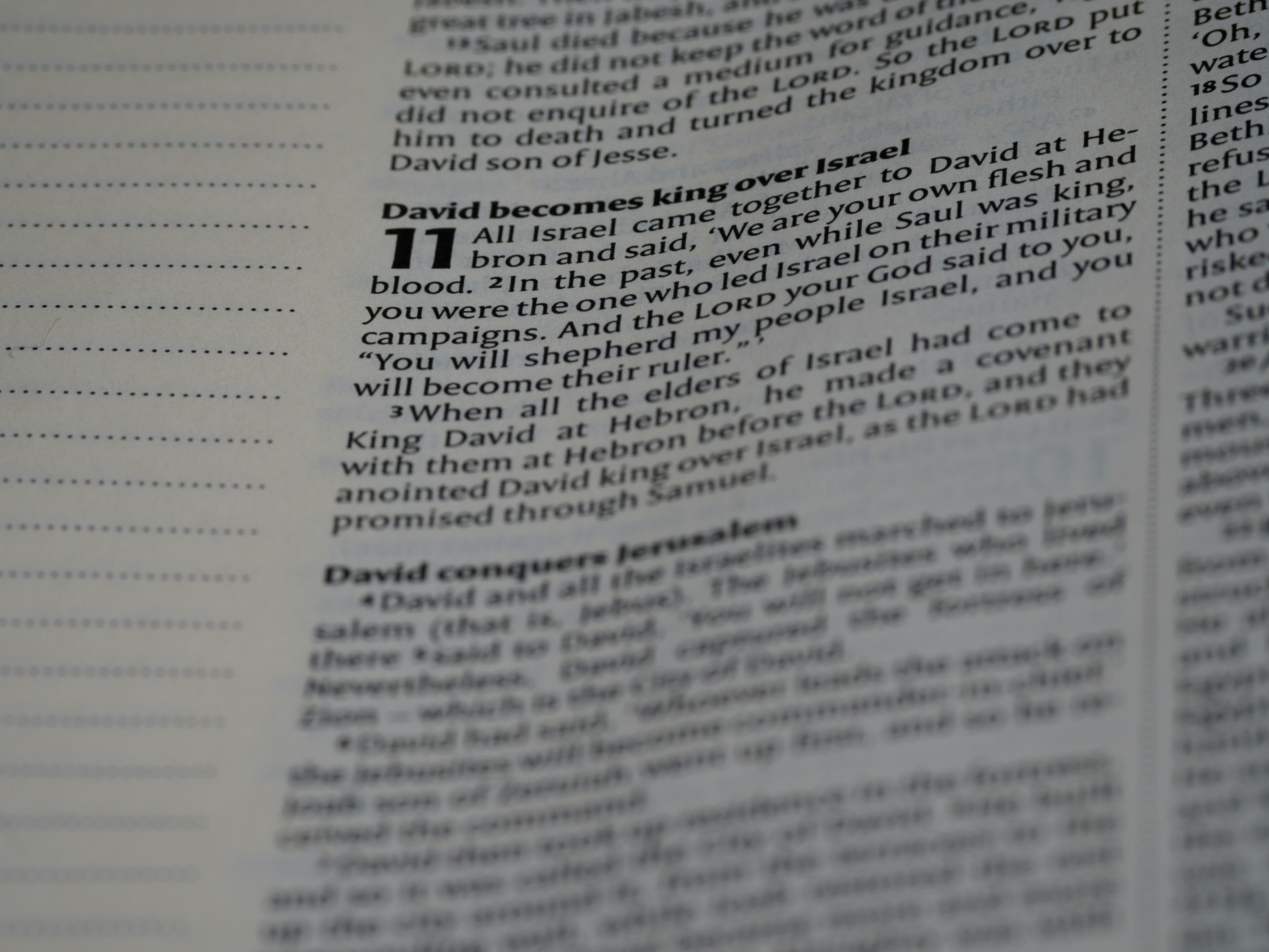 Photo by brett_jordan