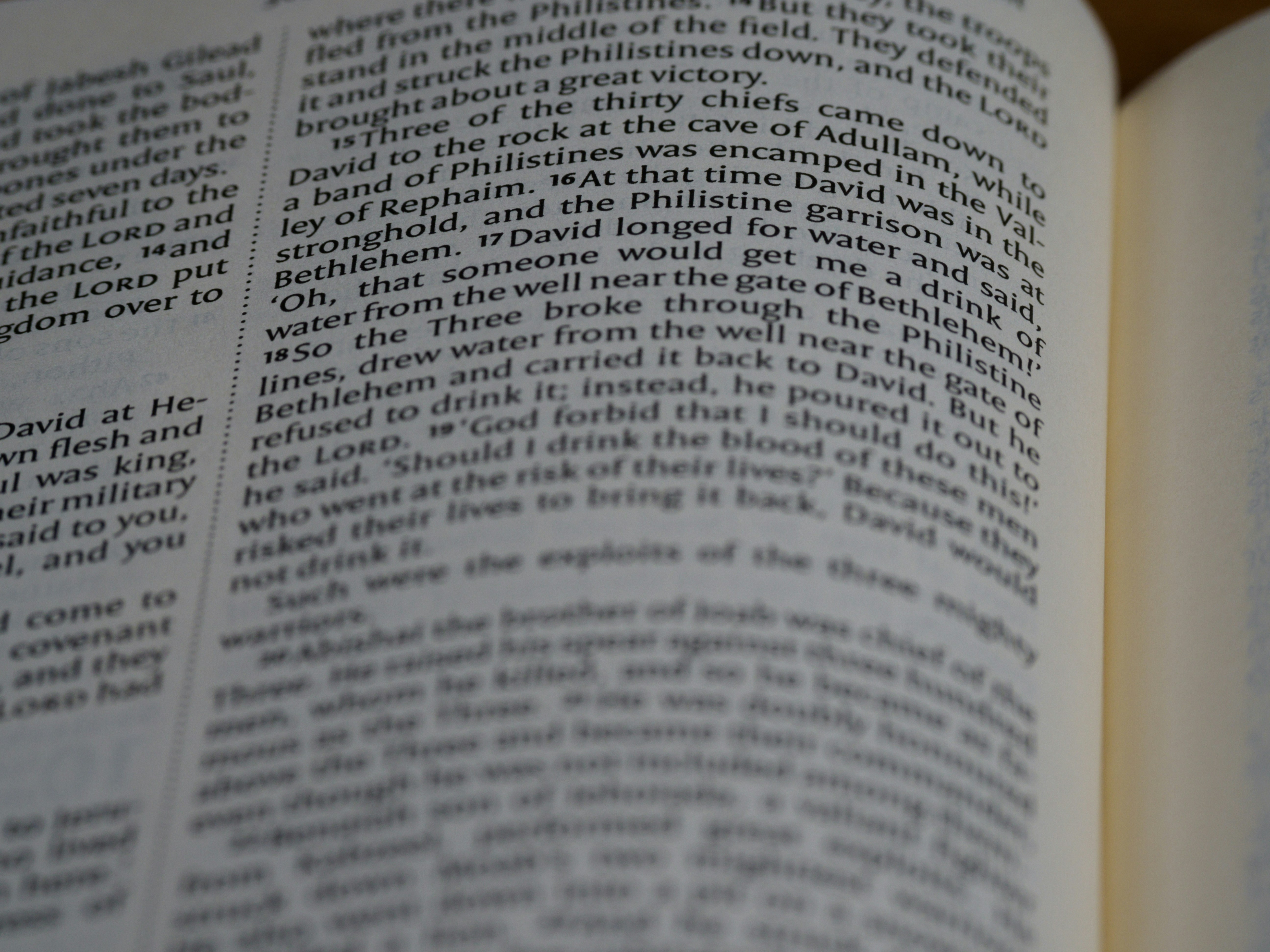 Photo by brett_jordan