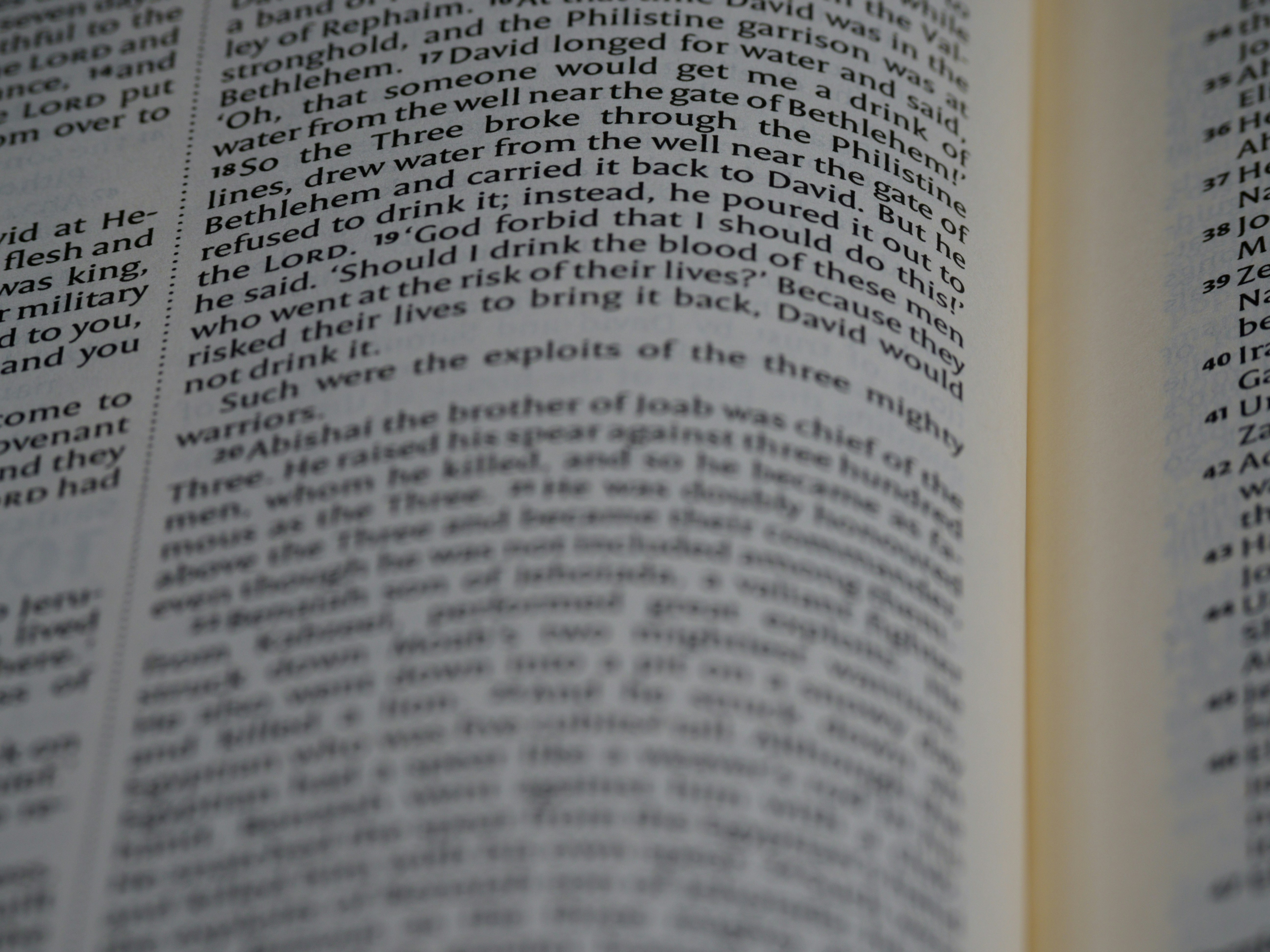 Photo by brett_jordan