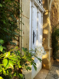 A rustic wooden door with intricate carvings, surrounded by lush greenery and warm sunlight.