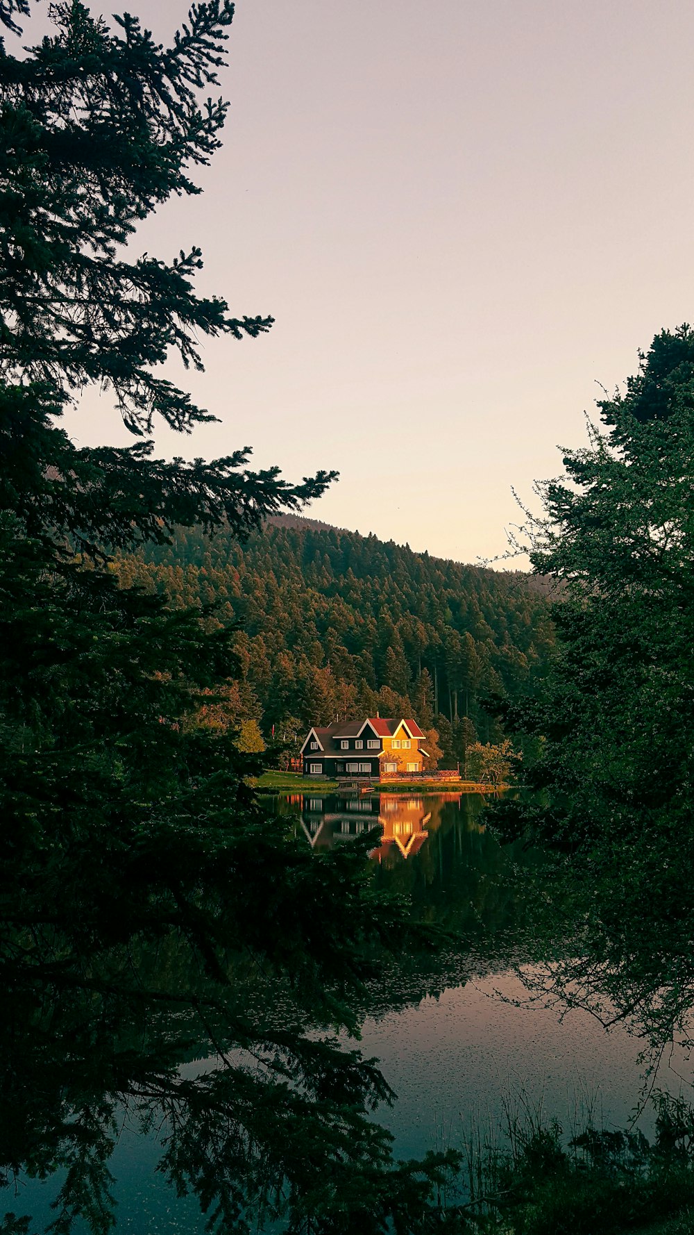 people sitting on wooden dock over green trees during daytime