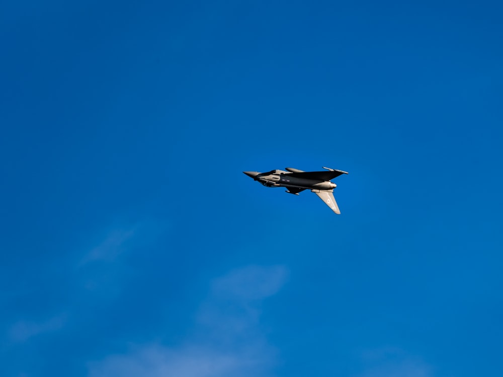 white and black bird flying under blue sky during daytime