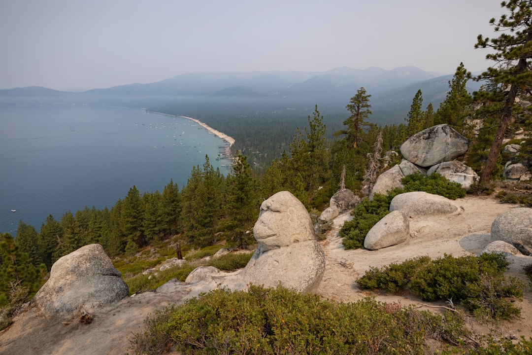 gray rocks near body of water during daytime