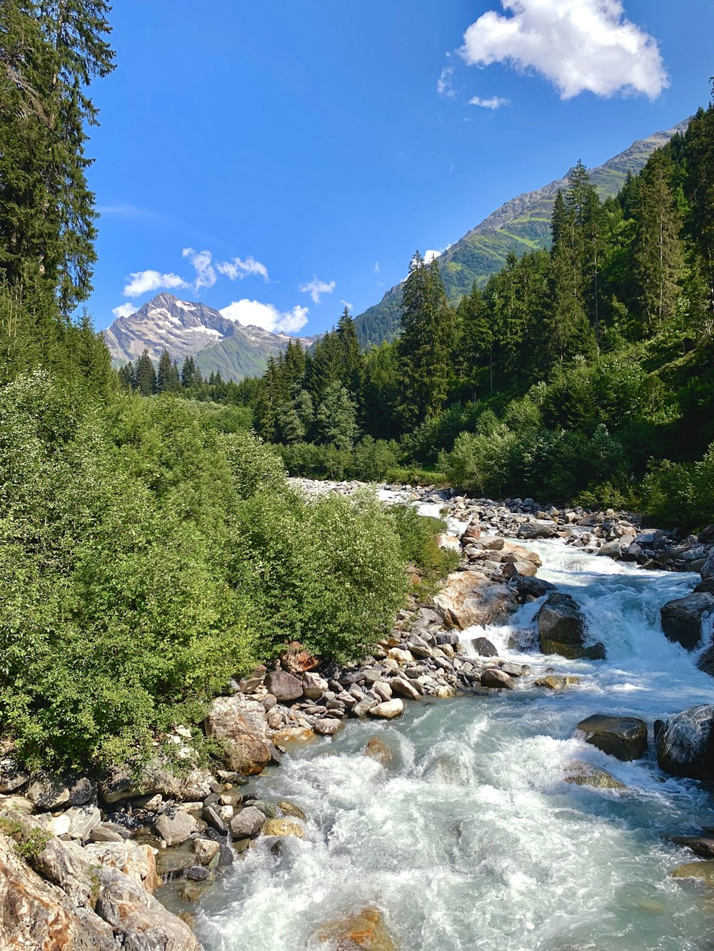 river between green trees and mountains during daytime