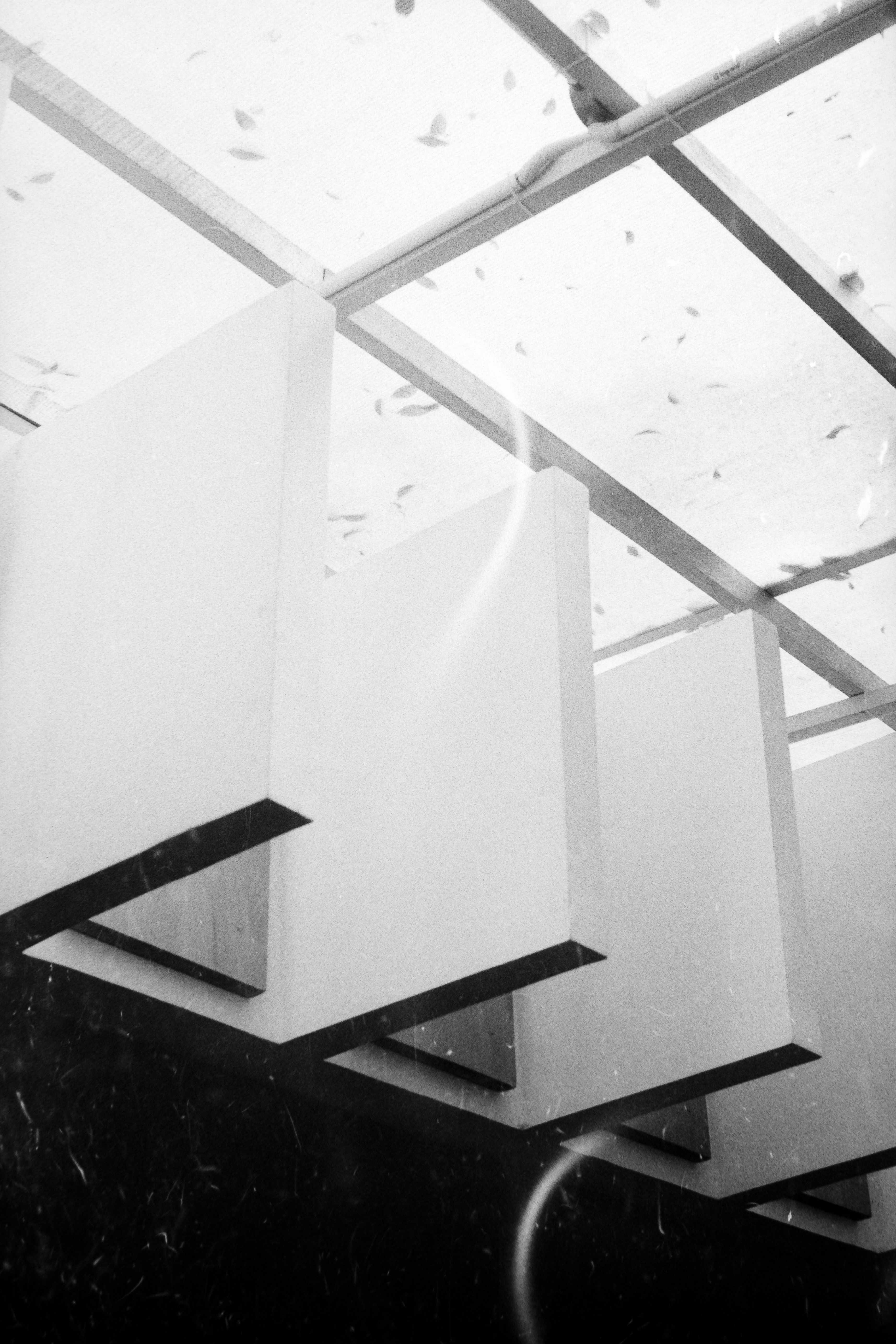 Photo by imanuelreza