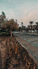 Green commercial lot with paved access and city skyline in the background.