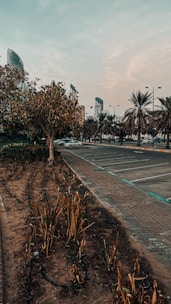 Empty residential plot with city skyline in the distance
