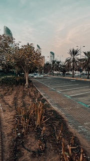Empty residential plot with city skyline in the distance