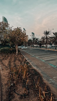 A serene empty land plot surrounded by city skyline in the background.