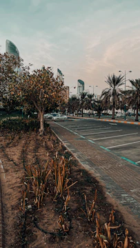 Green commercial lot with paved access and city skyline in the background.