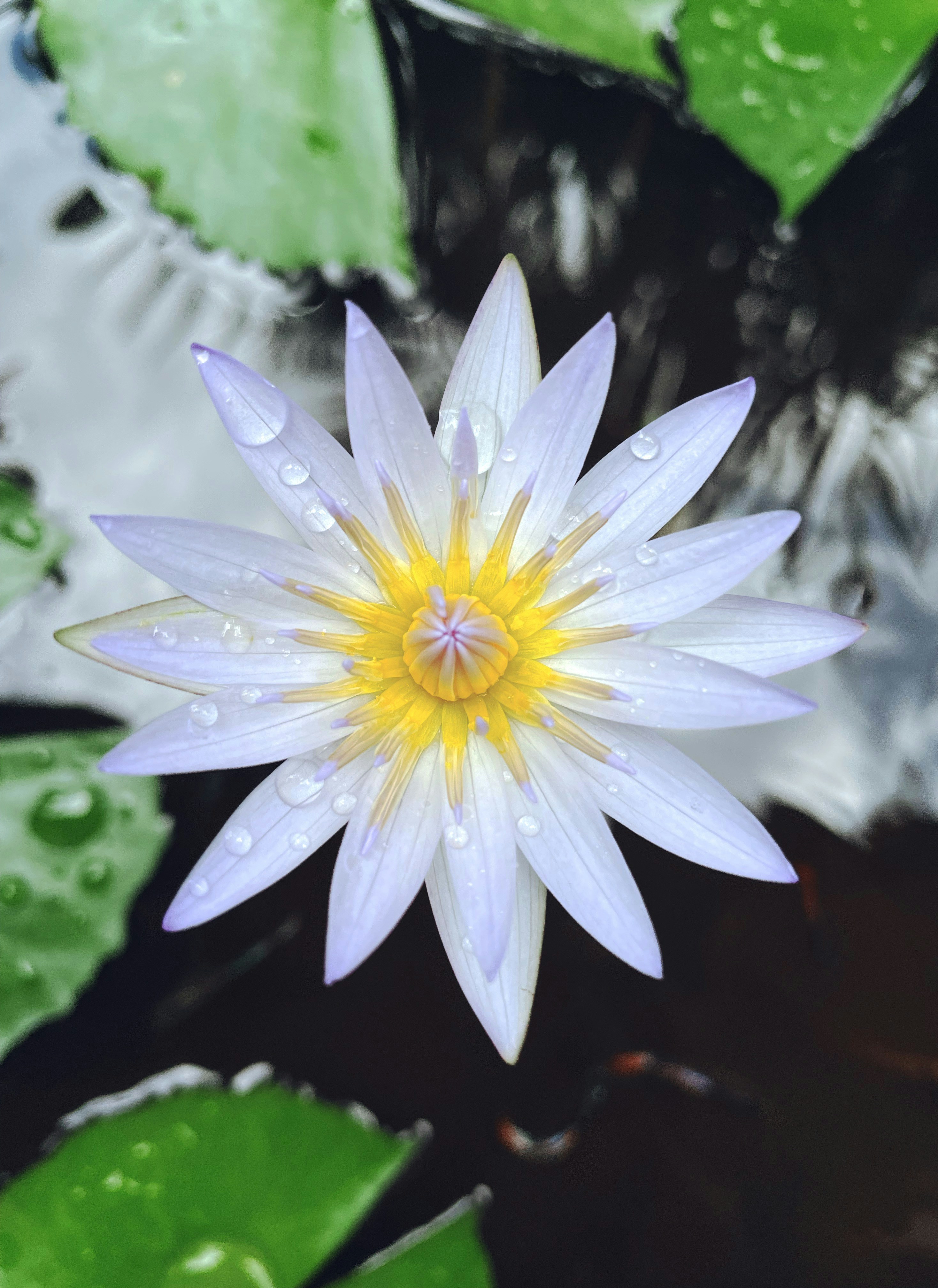 Photo by ravindujayathilaka