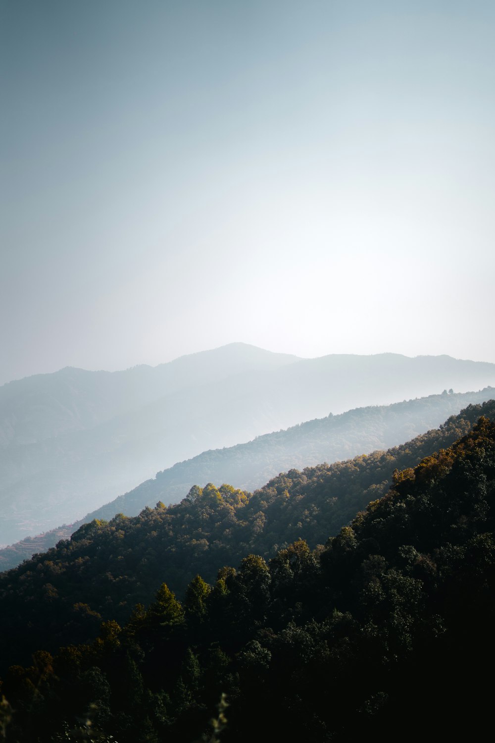 green trees on mountain during daytime