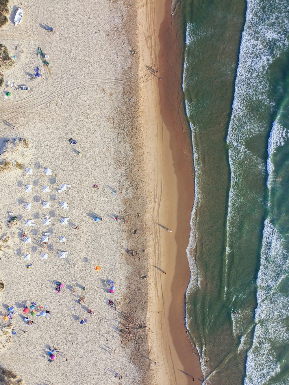 pessoas na praia durante o dia