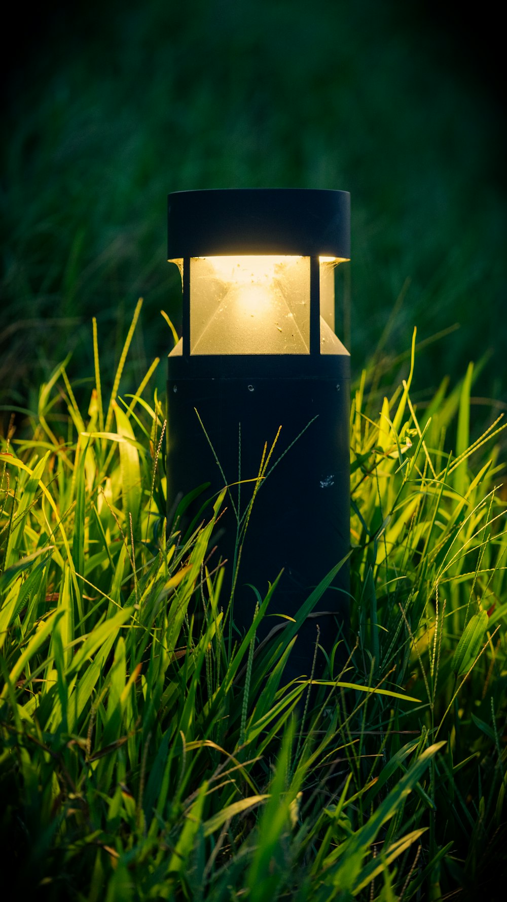 black and white lamp on green grass