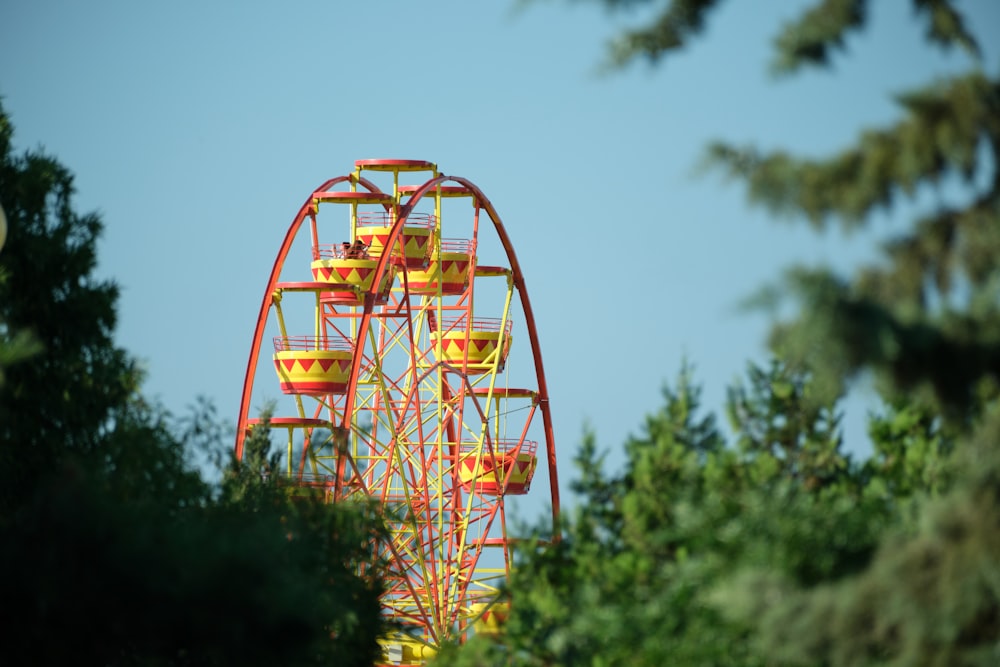 orange and yellow ferris wheel