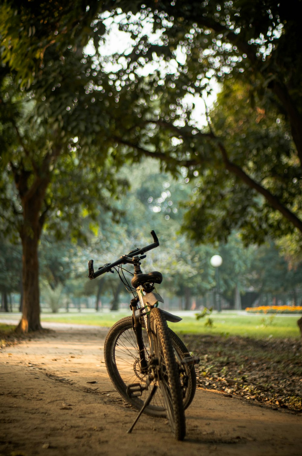 Bicicleta negra estacionada al lado de un árbol durante el día