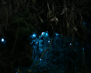 Dark mysterious fantasy realm with glowing blue accents.