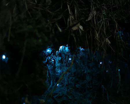 Dark mysterious fantasy realm with glowing blue accents.
